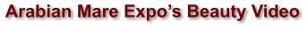 Arabian Mare Expo’s Beauty Video