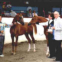 Halynov Wins Get of Sire at Santa Barbara